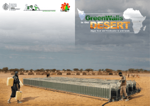 GREEN WALLS IN THE DESERT Reattori DWP nel deserto View PDF