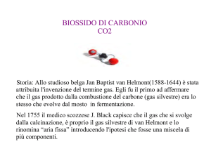 biossido di carbonio co2 - Cineca