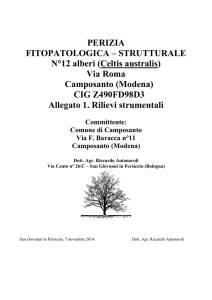 Perizia strumentale ottobre 2014 rilievi strumentali Camposanto