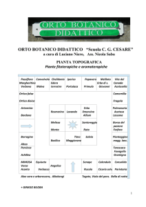 ORTO BOTANICO DIDATTICO - Istituto Comprensivo Caio Giulio