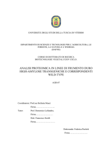 analisi proteomica in linee di frumento duro high