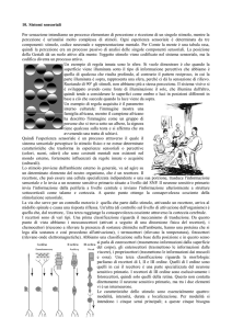 neuroscienze-parte2di3