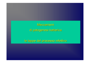 9-Patogenesi Batterica
