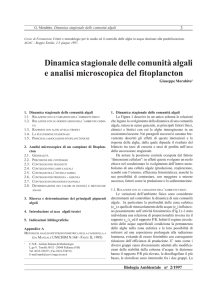 Ba 1997-2 Morabito Fitoplancton