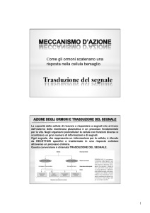 1UD2 Trasduzione del segnale File - Progetto e