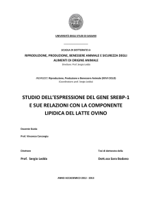 studio dell`espressione del gene srebp