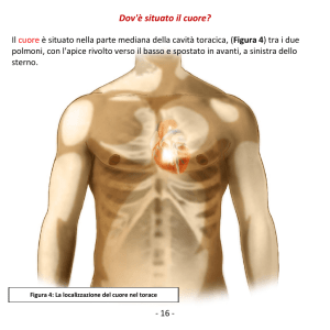 Dov`è situato il cuore?