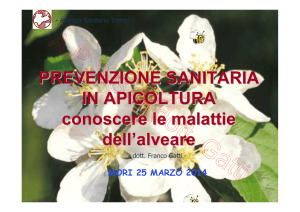 Corso apicoltura ROVERETO 2014 LEZIONE 3.1