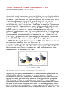 Gruppo 7, tesina 6 pdf - e
