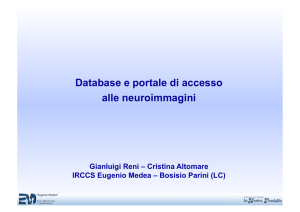 Database e portale di accesso alle neuroimmagini