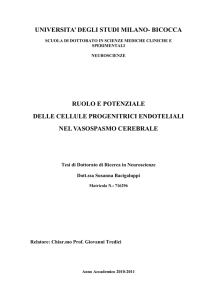 Susanna Bacigaluppi Tesi di dottorato in Neuroscienze