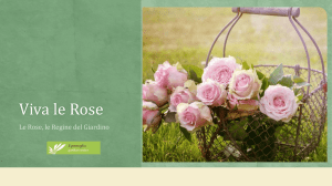 e-book dedicato alle Rose