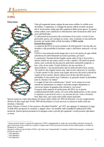 Il DNA - Home page di Giampiero Meneghin