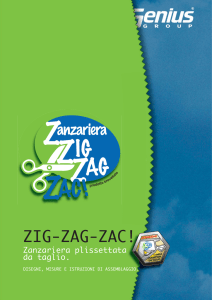 ZIG-ZAG-ZAC! - Genius Group