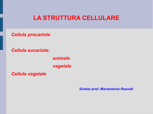 LA STRUTTURA CELLULARE