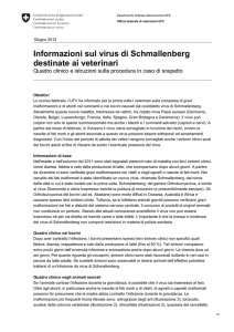 Informazioni sul virus di Schmallenberg destinate ai veterinari