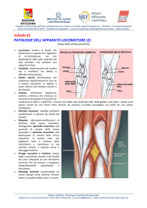 Fisiologia Anatomia Dermatologia - emmegiclick