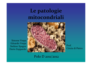 Patologie mitocondriali (Vespa S, Vespa E, Spagna, Zuppardo)