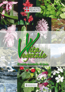 Vita Vegetale - Il verde mantello di Gaia