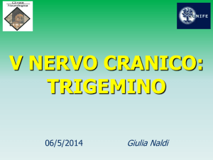 Il Nervo Trigemino (V Nervo Cranico)