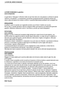 LAVORI DEL MESE DI MAGGIO