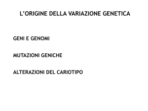 l`origine della variazione genetica - e