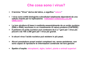 Che cosa sono i virus?