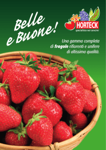 Brochure - Agricoltura 24