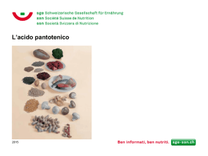 Acido Pantonenico PDF