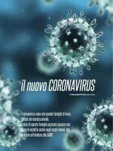 I coronavirus sono una grande famiglia di virus, diffusi nel mondo