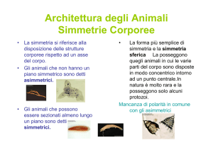 Architettura degli Animali Simmetrie Corporee