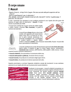 Il corpo umano - Istituto Comprensivo di Paliano