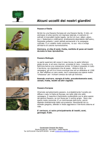 Alcuni uccelli dei nostri giardini - Condominio Centrale Milano San
