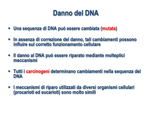 Danno del DNA