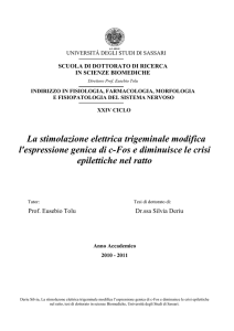 La stimolazione elettrica trigeminale modifica l`espressione genica