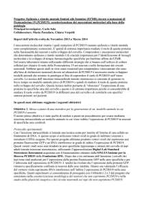 Report attività CNR Milano - Insieme per la Ricerca PCDH19