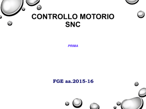 Muscolo Scheletrico Prof. Carlo Capelli