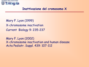 Inattivazione del cromosoma X