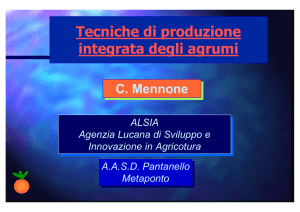C.Mennone- IPM in agrumi