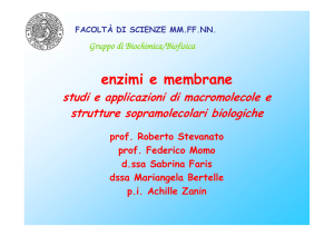 enzimi e membrane