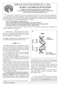 Approfondimento 3 - Erboristeria Arcobaleno