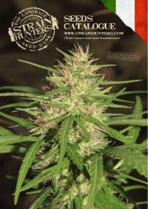 seeds catalogue - Green House Seed Co.