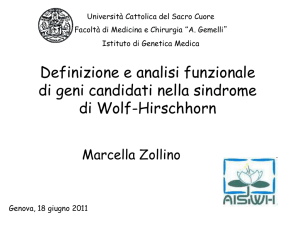 Definizione e analisi funzionale di geni candidati nella sindrome di