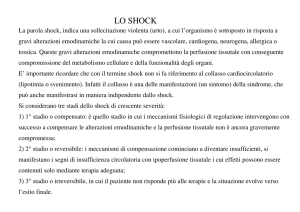 lo shock - Area