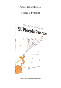 Il Piccolo Principe - Provincia di Pesaro e Urbino