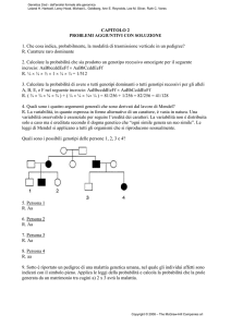 scarica il file