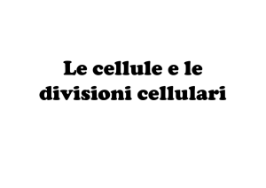 Le cellule e le divisioni cellulari