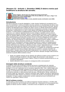 [Numero 32 - Articolo 1. Dicembre 2008] Il dolore