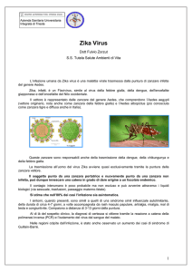 "Zika Virus" (malattia virale trasmessa dalla puntura di zanzare