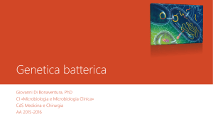 genetica batterica